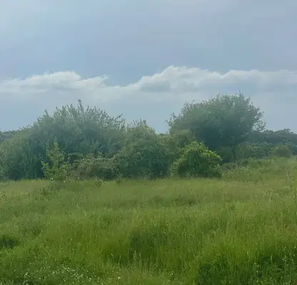Photo 2 — Plot in Oblast Varna, Gorica