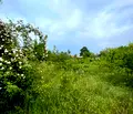 Снимка 3 — Парцел във Варна, с. Горица