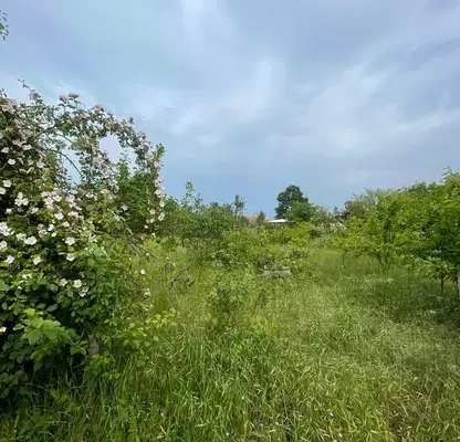 Photo 3 — Plot in Oblast Varna, Gorica