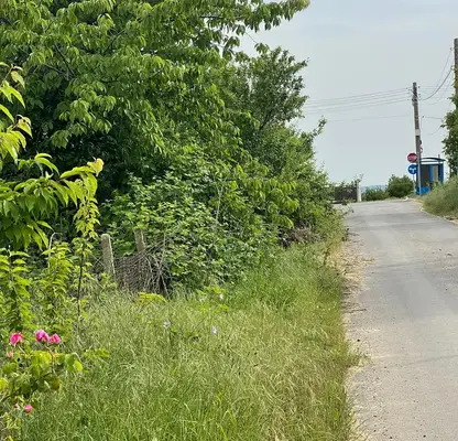 Photo 4 — Plot in Oblast Varna, Gorica