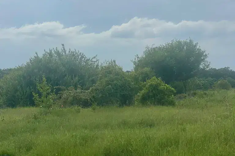 Парцел във Варна, с. Горица