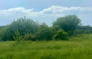 Парцел във Варна, с. Горица