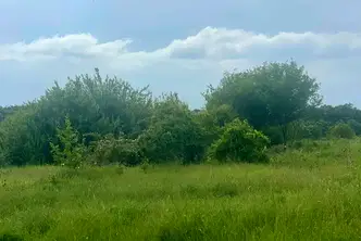 Парцел във Варна, с. Горица