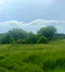 Парцел във Варна, с. Горица