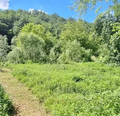 Photo 3 — Plot in Oblast Veliko Tyrnovo, Elena
