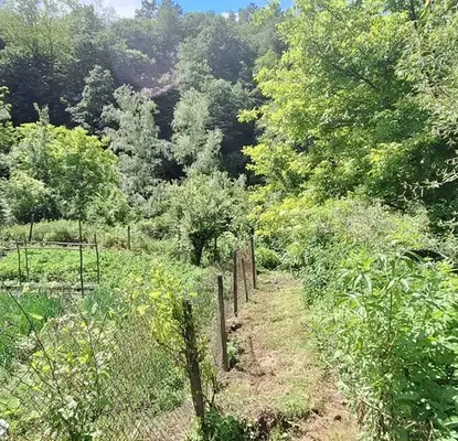 Photo 4 — Plot in Oblast Veliko Tyrnovo, Elena
