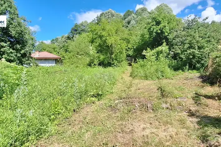 Парцел във Велико Търново, Елена