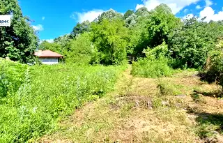 Парцел във Велико Търново, Елена