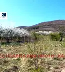Парцел във Велико Търново, Елена