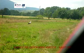 Парцел във Велико Търново, Елена