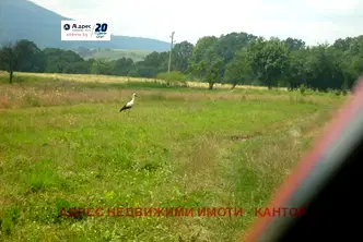 Парцел във Велико Търново, Елена