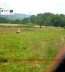 Парцел във Велико Търново, Елена