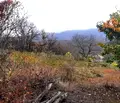 Снимка 5 — Парцел във Велико Търново, Елена