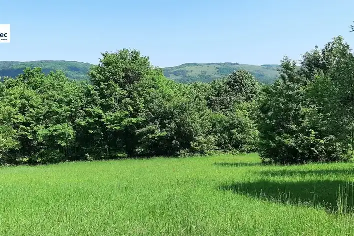 Парцел във Велико Търново, Елена