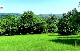Парцел във Велико Търново, Елена