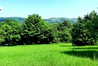 Парцел във Велико Търново, Елена