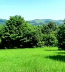 Парцел във Велико Търново, Елена