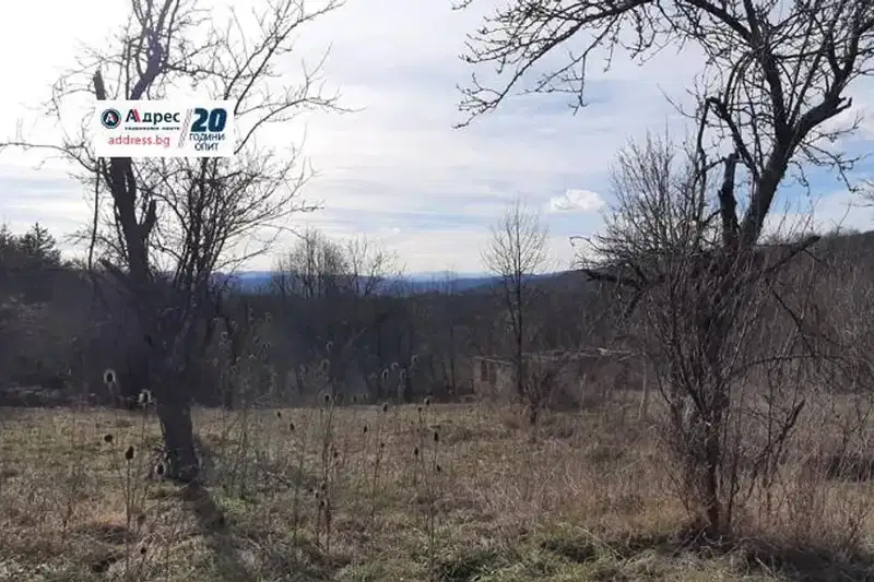 Парцел във Велико Търново, Елена
