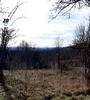 Парцел във Велико Търново, Елена