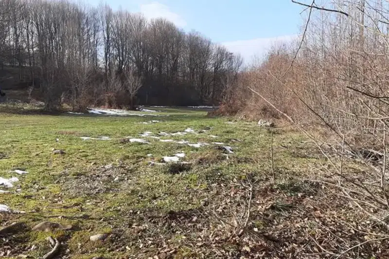 Парцел във Велико Търново, Елена