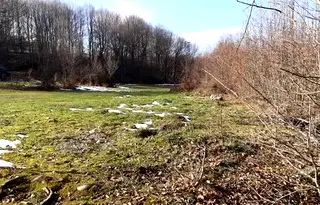Парцел във Велико Търново, Елена