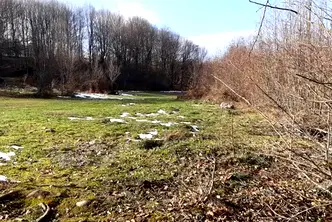 Парцел във Велико Търново, Елена