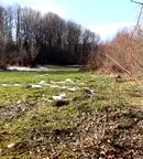 Парцел във Велико Търново, Елена