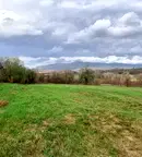 Парцел във Велико Търново, Елена