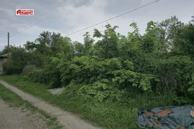 Парцел във Велико Търново, с. Къпиново
