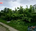 Снимка 2 — Парцел във Велико Търново, с. Къпиново
