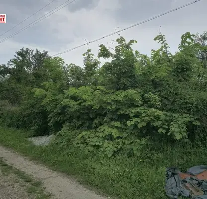 Photo 2 — Plot in Oblast Veliko Tyrnovo, Kypinovo