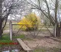 Снимка 2 — Парцел в Ямбол, с. Болярско