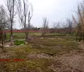 Снимка 4 — Парцел в Ямбол, с. Болярско