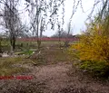 Снимка 5 — Парцел в Ямбол, с. Болярско