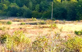 Земеделски имот в Благоевград, Петрич