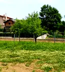 Земеделски имот в Бургас, с. Велика