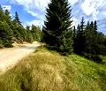 Снимка 4 — Земеделски имот в Смолян, с. Кутела