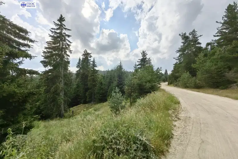 Agricultural Land in Oblast Smolyan, Kutela