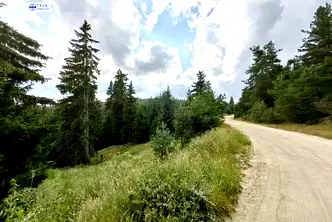 Земеделски имот в Смолян, с. Кутела