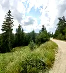 Земеделски имот в Смолян, с. Кутела