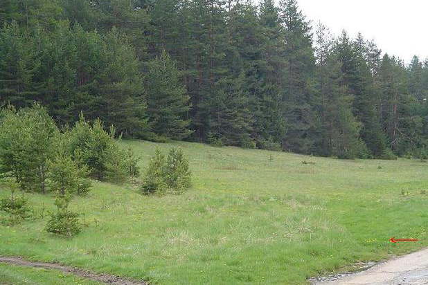 Plot in Oblast Pazardjik, Batak