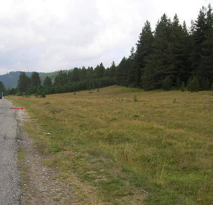 Photo 4 — Plot in Oblast Pazardjik, Batak