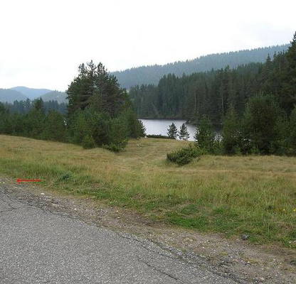 Photo 5 — Plot in Oblast Pazardjik, Batak