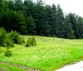 Снимка 2 — Парцел в Пазарджик, Батак