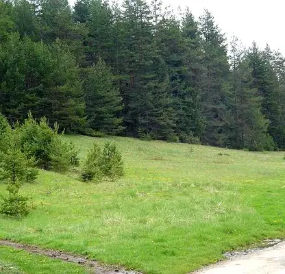 Photo 2 — Plot in Oblast Pazardjik, Batak