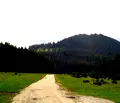 Снимка 5 — Парцел в Пазарджик, Батак