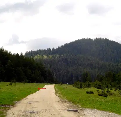 Photo 5 — Plot in Oblast Pazardjik, Batak