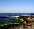 Снимка 2 — Двустаен апартамент в Бургас, Царево