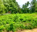 Снимка 3 — Парцел в Габрово, Промишлена зона