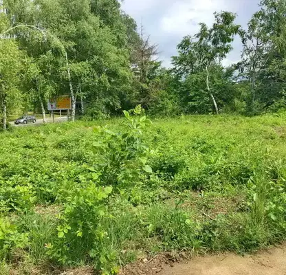 Photo 3 — Plot in Gabrovo, Promishlena Zona